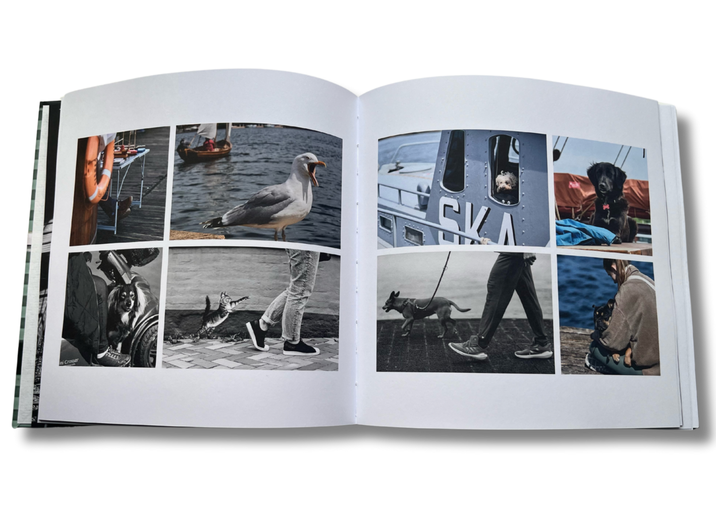 Fotoband Fremde in der Heimat - Heimat in der Fremde von Sergey Bondarev -